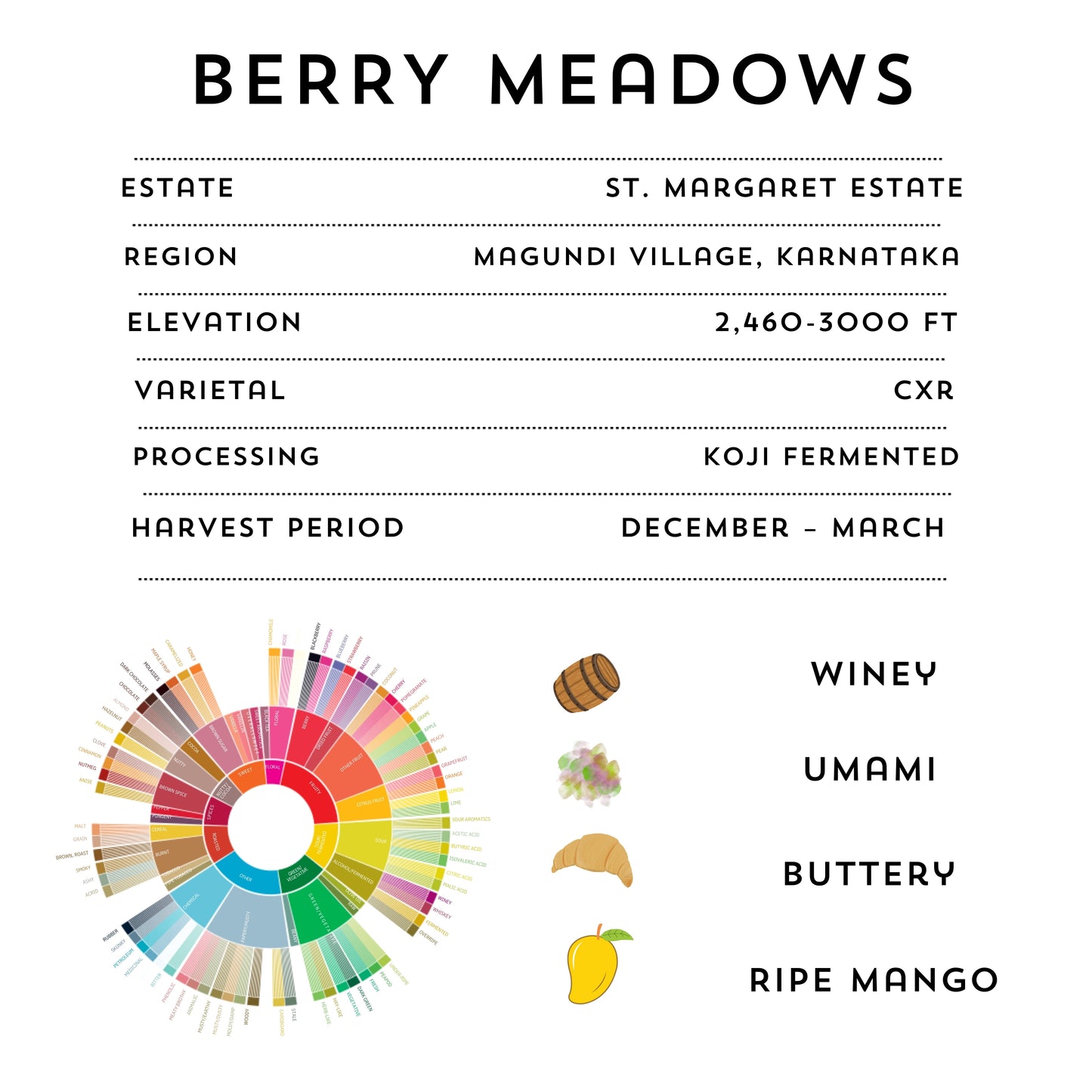 BERRY MEADOWS - Fruity & Floral Coffee Blend
