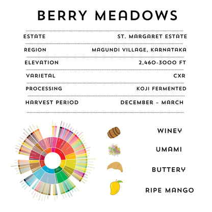 BERRY MEADOWS - Fruity & Floral Coffee Blend