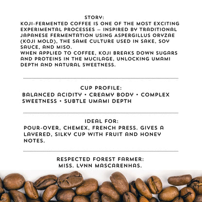 BERRY MEADOWS - Fruity & Floral Coffee Blend