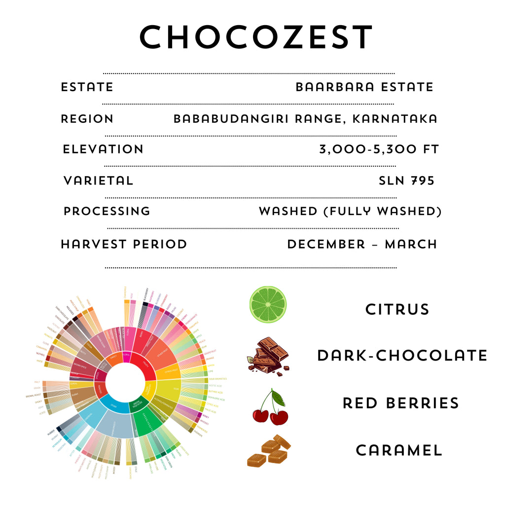 CHOCOZEST – Signature Coffee Beans