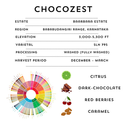 CHOCOZEST – Signature Coffee Beans